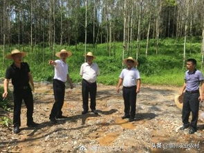惠州市農(nóng)業(yè)農(nóng)村局副局長李冠源到龍門縣現(xiàn)場督查中央環(huán)保督察整改任務(wù)落實(shí)情況